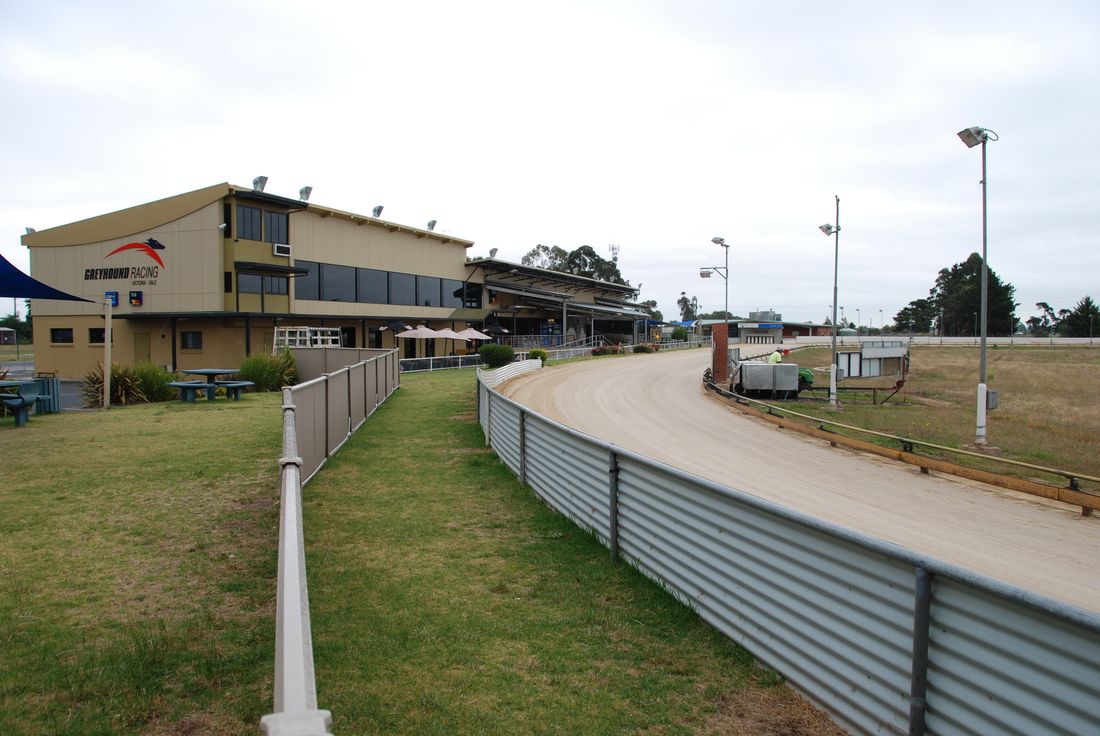greyhound club sale